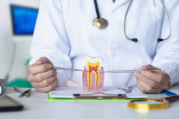 Best Emergency Tooth Extraction in Shingle Springs, CA